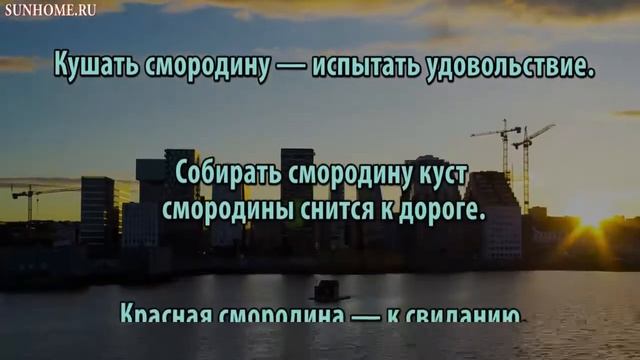 К чему снится Смородина сонник, толкование сна смотреть онлайн