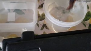 ВЫЛАВЛИВАЮ РЫБОК ПЕТУШКОВ ИЗ АКВАРИУМА ОБЫЧНЫМ ПЛАСТИКОВЫМ СТАКАНЧИКОМ! БУДУ ЧИСТИТЬ АКВАРИУМ!??