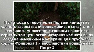Ученые нашли вход в легендарную Янтарную комнату: где находится шедевр русских императоров
