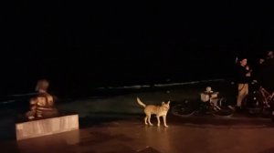 Евпатория. Блогерская колобарация с Максом! =) Ночное море! Крым.