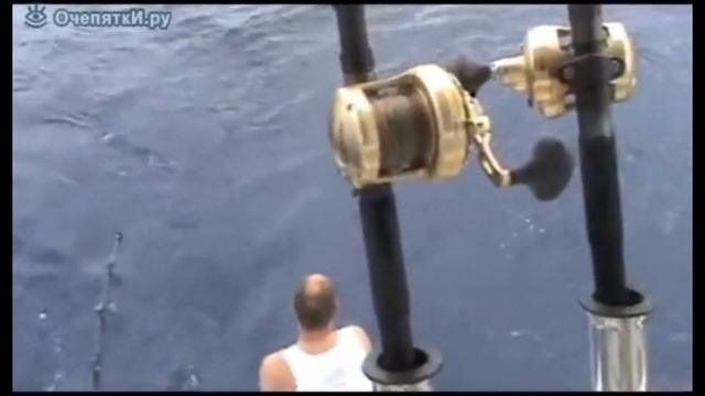 Морская рыбалка видео приколы/Рыбалка на тунца