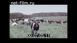 1982г. колхоз Ленинский Луч. колхоз Борец. Московская обл.  академик ВАСХНИЛ  Андреев Н.Г.