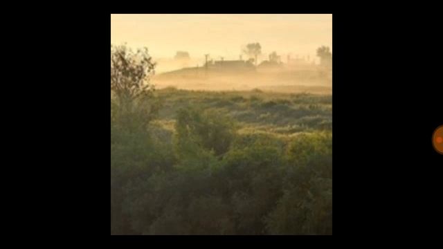 С.Есенин-Листья падаютлистья падают...