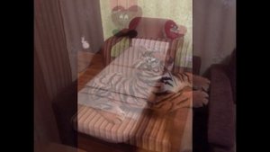 Срочно продам кресло кровать