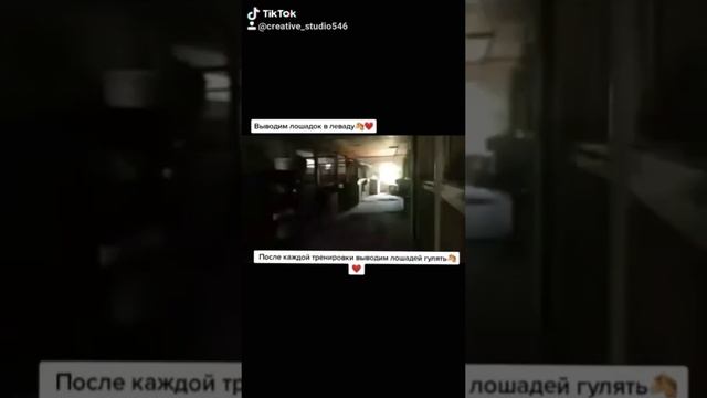 Мой конный Тик Ток смотреть онлайн