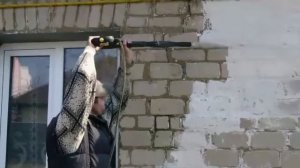 Смывание побелки мойкой высокого давления