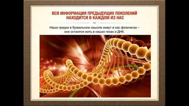 Очищение Древа Рода! Как получить помощь от Рода! смотреть онлайн