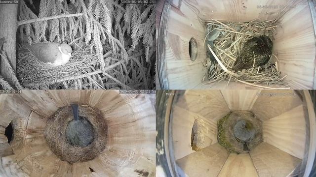 Онлайн-трансляция  - 2020.   Часть-2  с 4-5.05.2020 г.. Город Калуга смотреть онлайн