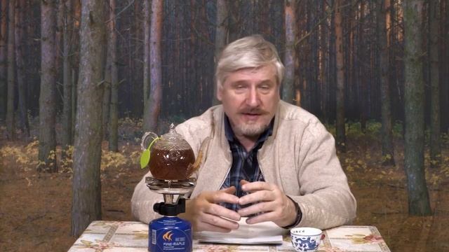 С Савельев Как устроена память человека смотреть онлайн