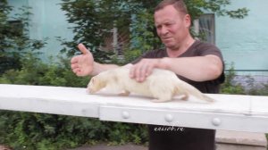 Развлекаемся на работе