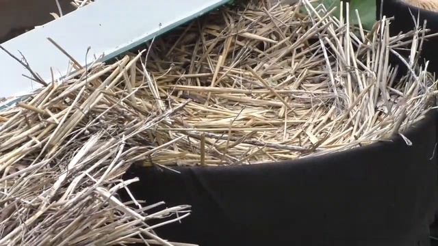 Газонная лужайка! Разбиваем цветник на газоне! Высаживаем многолетники