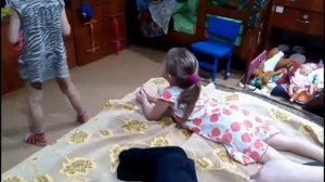 Поведение хорька Лаки в первые дни течки  Стерилизация и первый день дома