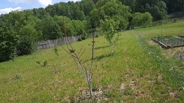 СЕГОДНЯ ПРАЗДНИК,НИЧЕГО НЕ ДЕЛАЕМ,СЛОНЯЕМСЯ ИЗ УГЛА В УГОЛ,ПРОСТО ЖИВЕМ. смотреть онлайн