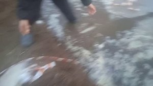 дебилы