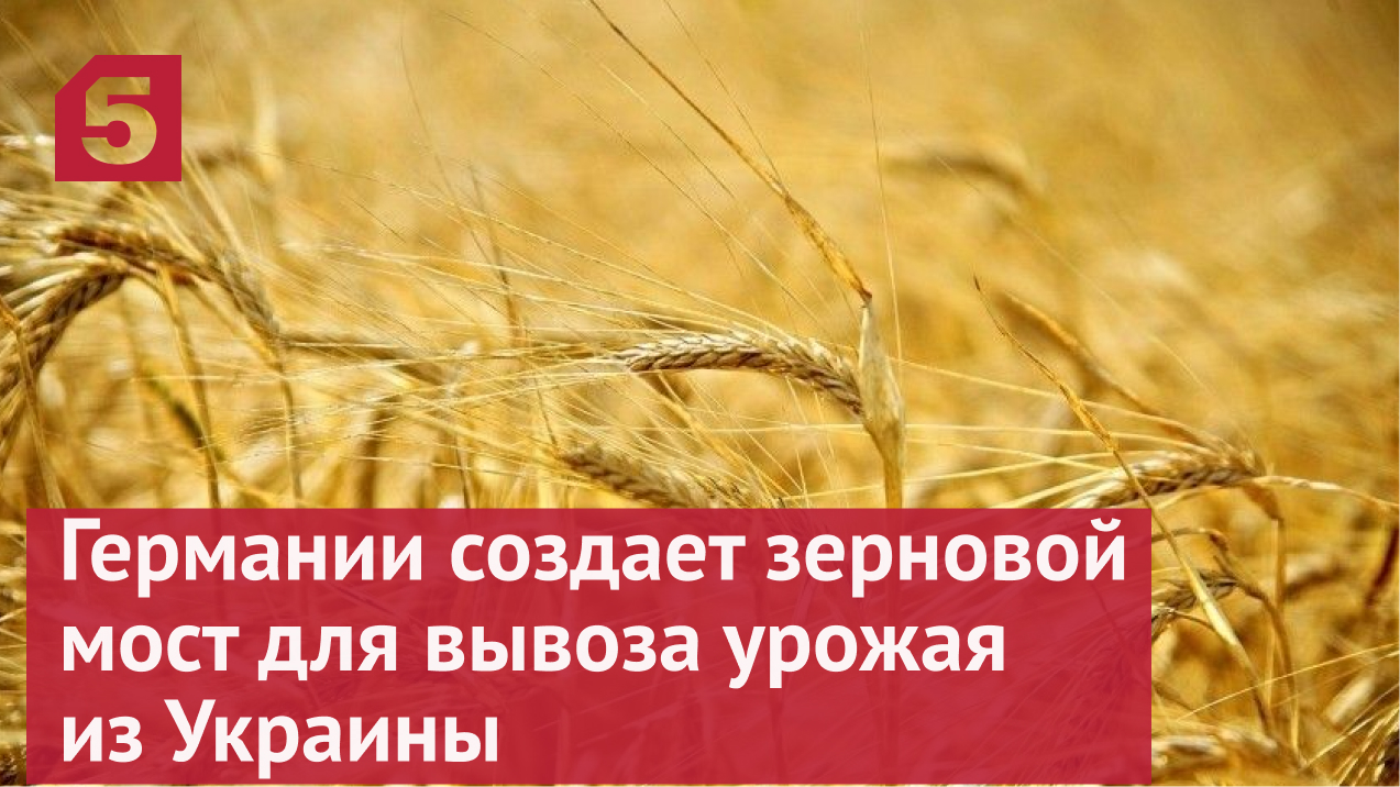 В Германии заявили о создании зернового моста для вывоза урожая из Украины