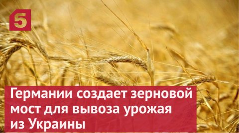 В Германии заявили о создании зернового моста для вывоза урожая из Украины