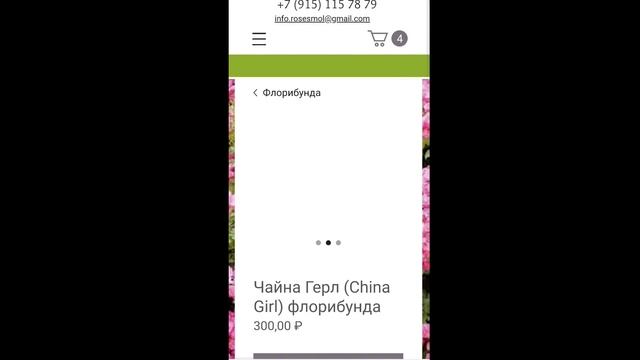Где заказать розы на весну? Питомник  rosesmol.Что я заказала? Успей купить.  саженцы роз ОКС