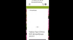 Где заказать розы на весну? Питомник rosesmol.Что я заказала? Успей купить. саженцы роз ОКС
