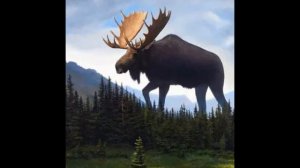 Megalophobia Pictures With Silent Hill Theme In The Background.