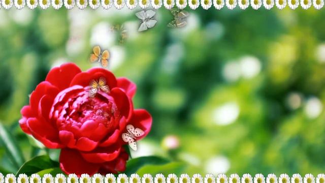 Я ЖЕЛАЮ ТЕБЕ СЧАСТЬЯ. RELAX THE BEST 🎧 🎼 🎹