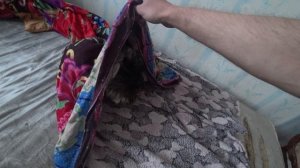 VLOG: КОШКА СПРЯТАЛАСЬ/МЯУРИЦЦИО ПОД ПОКРЫВАЛОМ / CAT/ ПРИКОЛЫ/ ЖИЗНЬ/LIVE/ИНТРОВЕРТ/31.01.2023#362