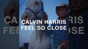 Feel So Close (Radio Edit)