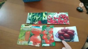 Проверено Сибирью! Гроздевые сорта томатов для открытого грунта. Обзор.