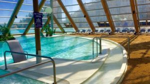 Самые Большие Животные В Мире