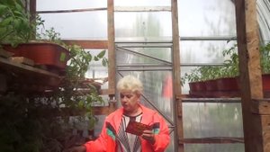 БЕЛОКРЫЛКА. НЕТРАДИЦИОННЫЕ МЕТОДЫ БОРЬБЫ. Ольга Чернова.