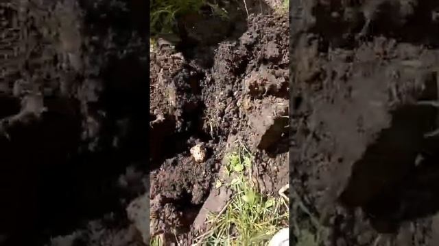 Восстановление старой лопаты (+ тесты) своими руками смотреть онлайн