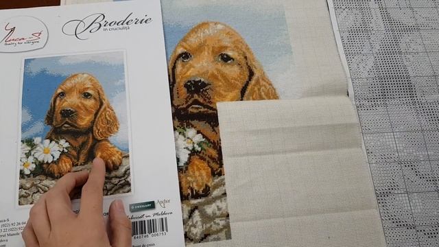 Вышивка крестиком "Ожидаются собачка" 3-й отчет ! смотреть онлайн