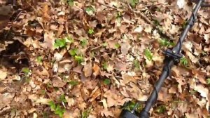 КОП МОНЕТ Golden mask one ЗНАЙШОВ СРІБЛО.