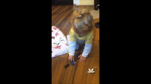 Mat a  Peruphasma schultei смотреть онлайн