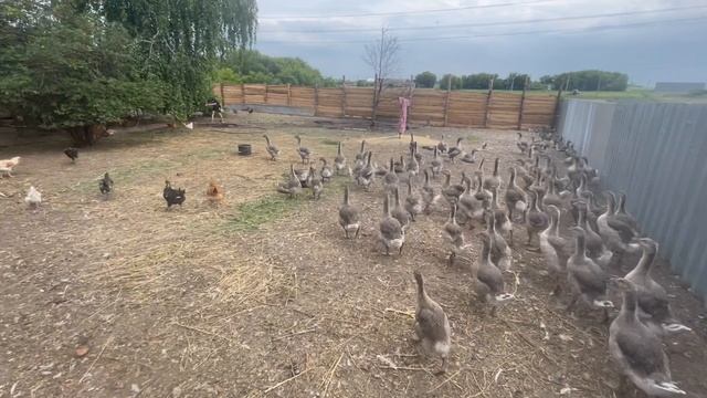 09-07-2023 смотреть онлайн