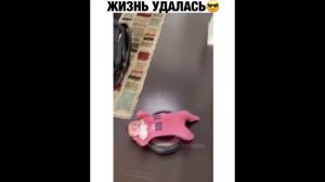 ПРИКОЛ - ЖИЗНЬ УДАЛАСЬ