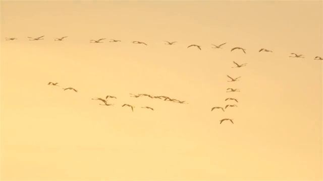 Meditation Mix # 1 \ Музыка для Релаксации и Сна смотреть онлайн