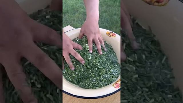 Salt field onion. Stocks for the winter / Солим полевой лук. Запасы на зиму смотреть онлайн