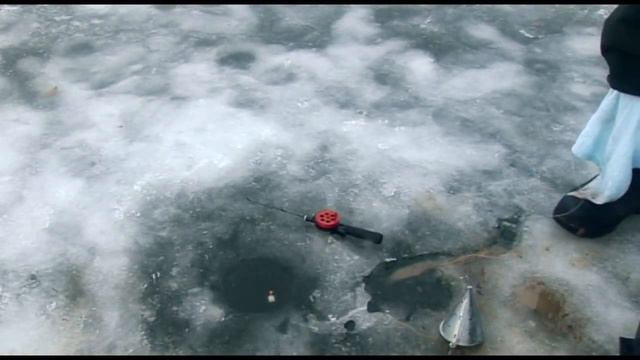 Зимняя ловля форели и сига на платниках смотреть онлайн