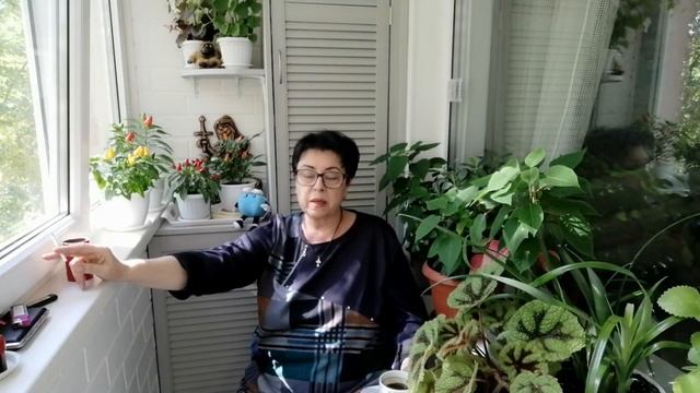 298.Моя самая трудная дорога домой! Болею, но я с Вами! ??#болею#мойдом#болталки#влог#жаннаэйвазова