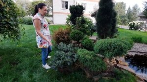 ОБЗОР АЛЬПИЙСКОЙ ГОРКИ. Какие растения объединены и как за ними ухаживать?