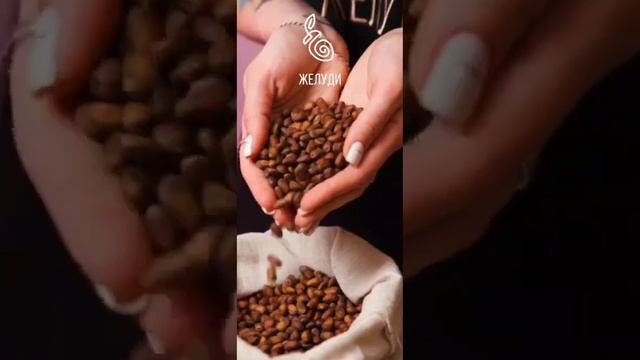 А вы любите кедровые орешки? смотреть онлайн