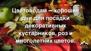 ПОДРОБНЫЙ ЛУННЫЙ КАЛЕНДАРЬ САДОВОДА и ОГОРОДНИКА на СЕНТЯБРЬ 2021 года