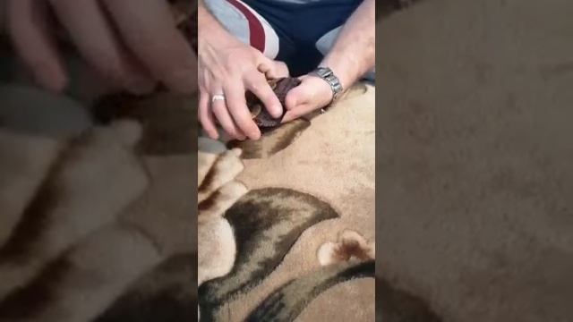 тюремные игральные карты от подписчика, ссылка на канал ниже??? смотреть онлайн