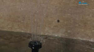 Секреты Старой Коломны: экскурсия по историческому району Петербурга