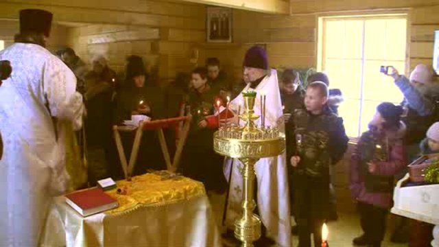 Туй минус. Туй минус