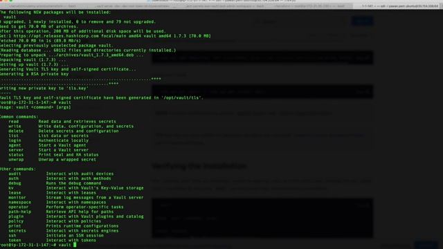 How To Install Vault on ubuntu linux смотреть онлайн