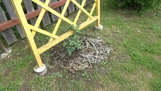 6 соток 20 июня... смотреть онлайн