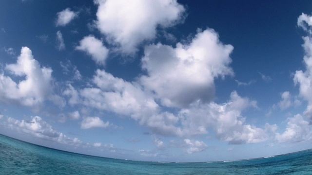 Невидимая сила Дыхательной Системы смотреть онлайн