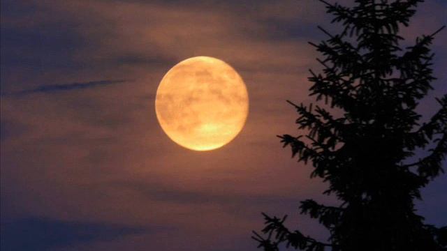 Kalibos - Winternacht - Part III смотреть онлайн