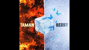 TAMAN,Berry - Дискотека 90-х.avi